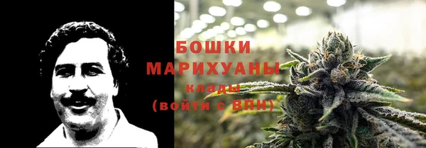 гидра Лиски