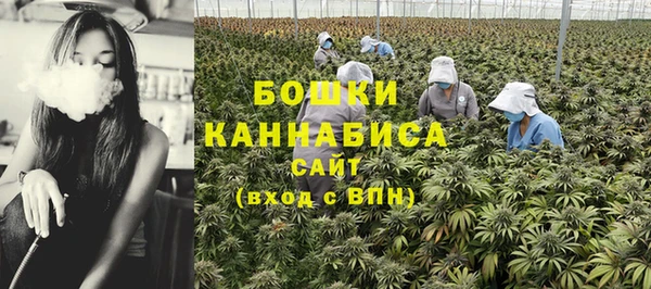 ALPHA PVP Нестеровская