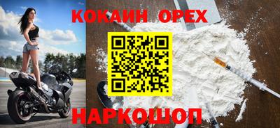 ALPHA PVP Гатчина