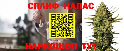 ALPHA PVP Гатчина
