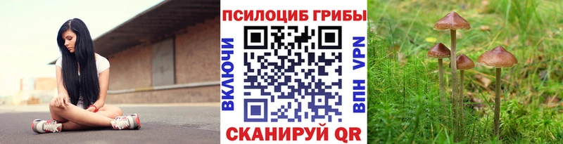Псилоцибиновые грибы GOLDEN TEACHER  OMG ссылка  Обнинск 